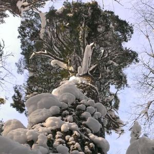 1003068_10151791301795518_976959388_n