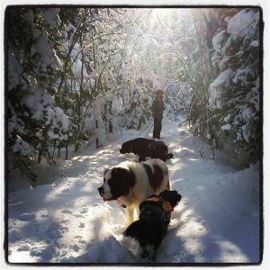 1464637_10151791299455518_431265643_n